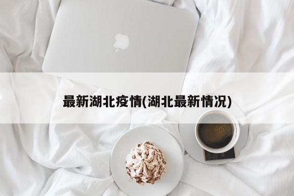 最新湖北疫情(湖北最新情况)