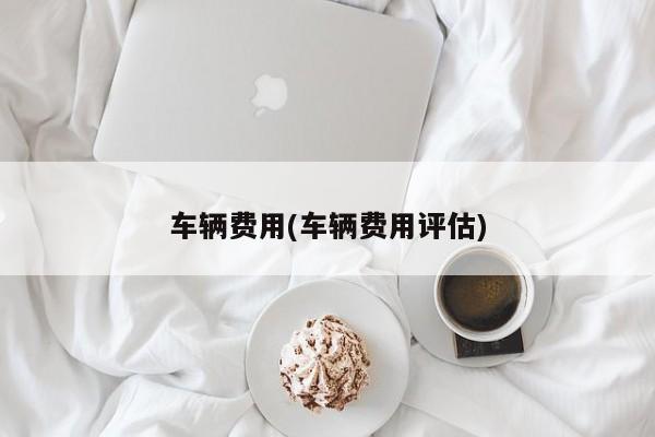车辆费用(车辆费用评估)