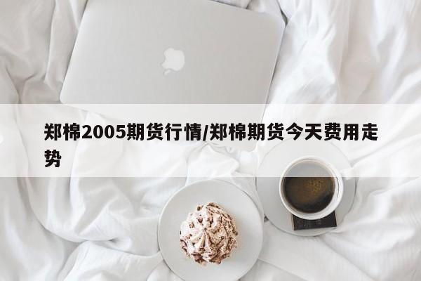 郑棉2005期货行情/郑棉期货今天费用走势