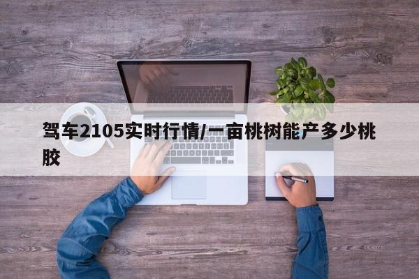 驾车2105实时行情/一亩桃树能产多少桃胶