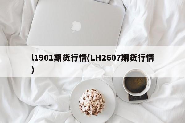 l1901期货行情(LH2607期货行情)